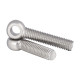 304 stainless steel live bolt fisheye screw