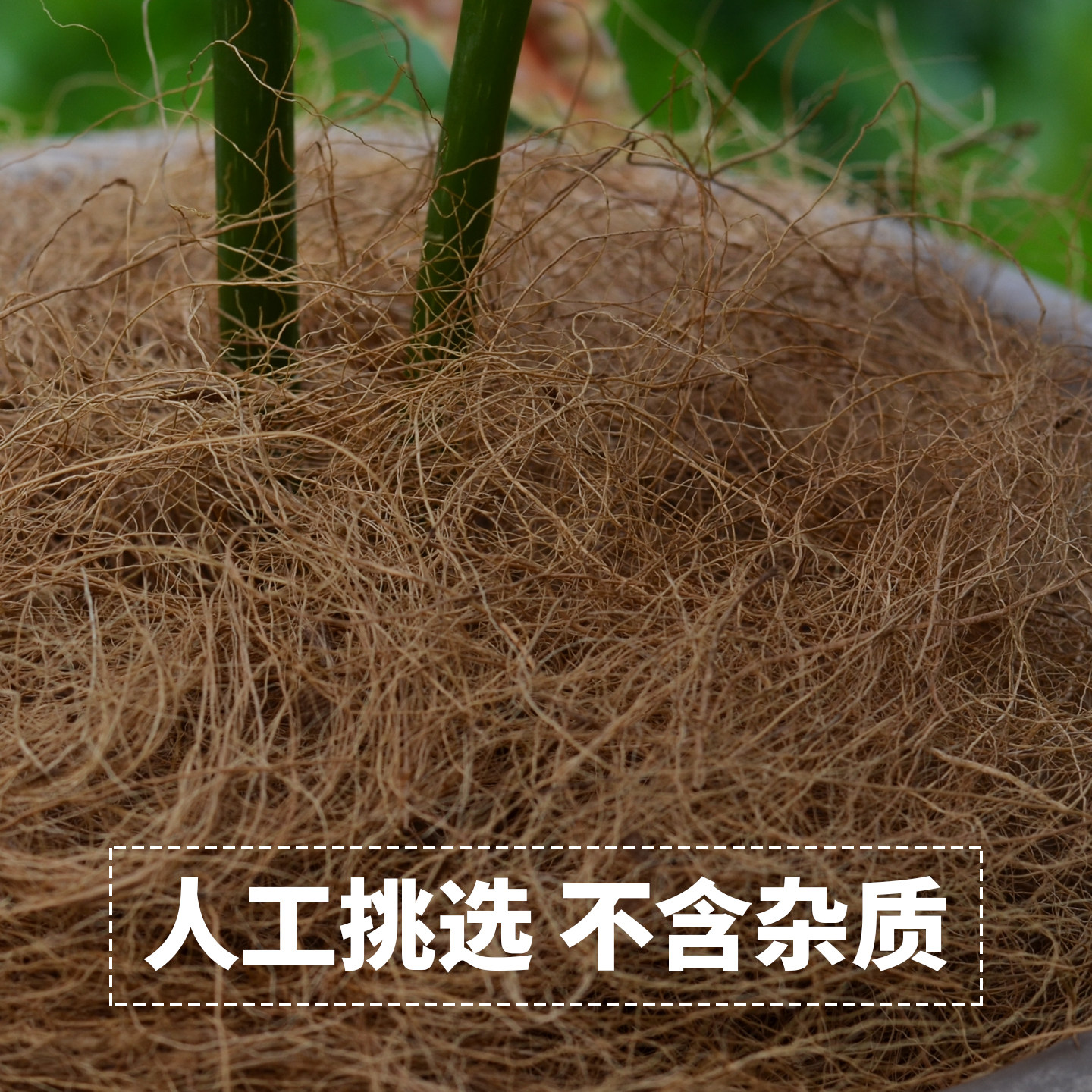 花盆表面土壤覆盖物铺面装饰椰丝绿植盆栽遮丑椰棕丝种花铺面椰丝,淘宝优惠券,粉丝福利购,淘宝优惠卷