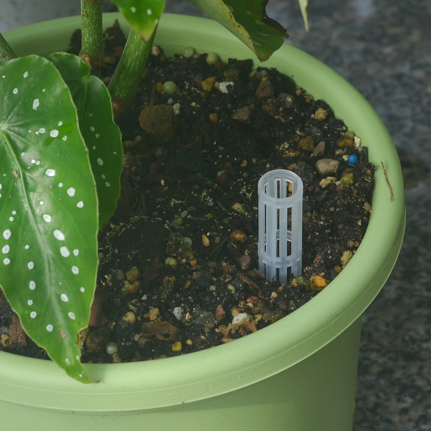 花盆通风管加长防烂根神器土壤透气锥通风盆景控根盆土土壤透气管,淘宝优惠券,粉丝福利购,淘宝优惠卷