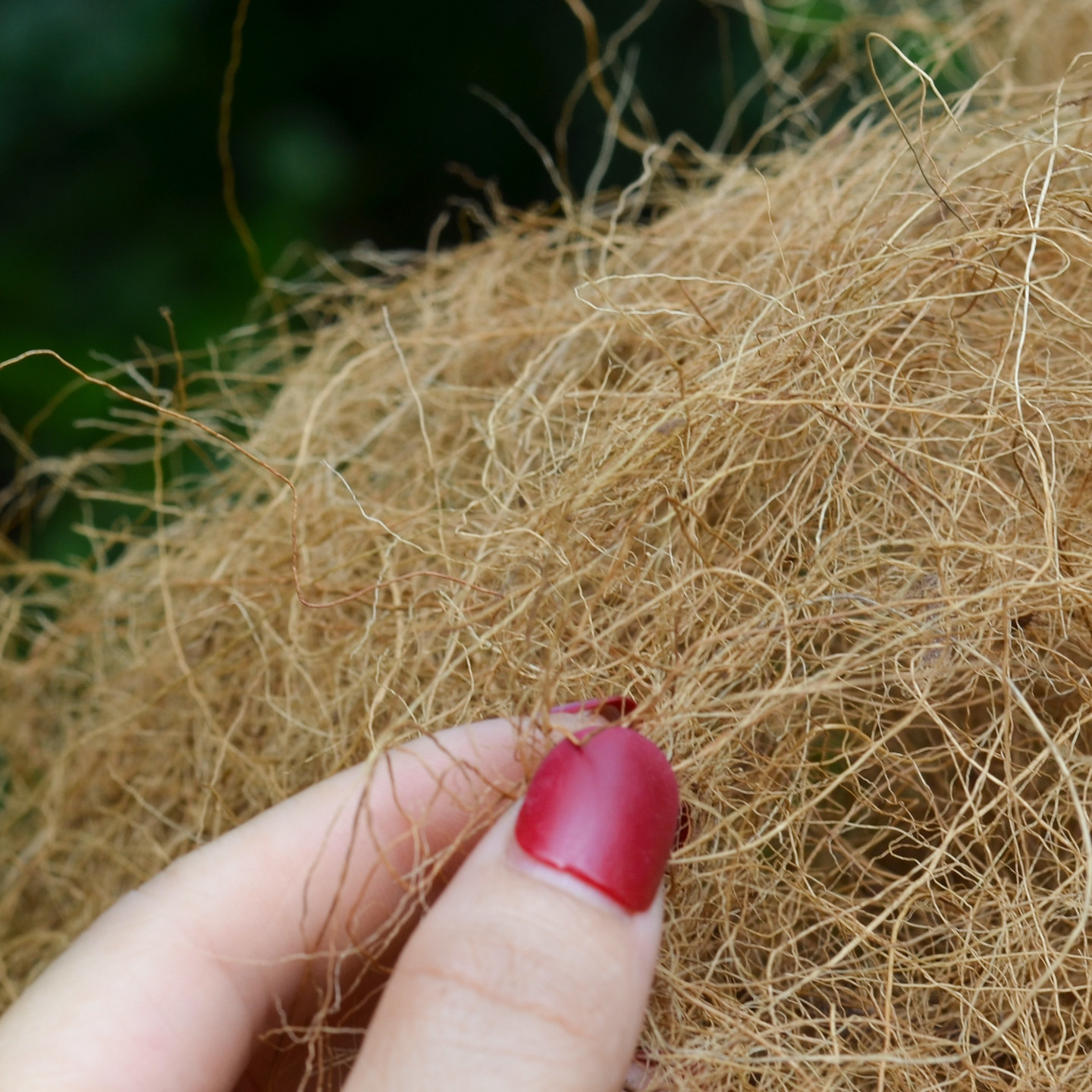 花盆表面土壤覆盖物铺面装饰椰丝绿植盆栽遮丑椰棕丝种花铺面椰丝,淘宝优惠券,粉丝福利购,淘宝优惠卷