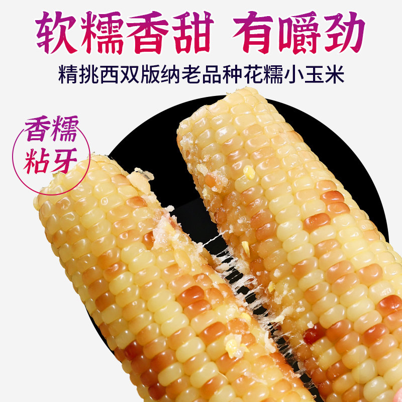 10斤云南西双版纳香糯小玉米新鲜真空包装开袋即食早餐代餐玉米棒,淘宝优惠券,粉丝福利购,淘宝优惠卷