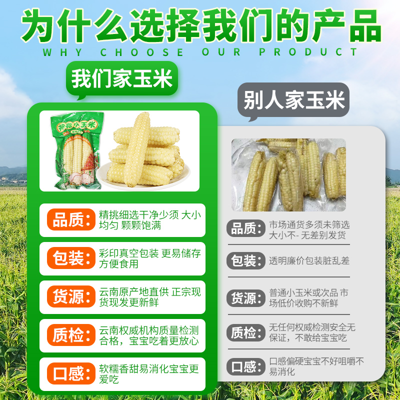 5斤 云南西双版纳香糯拇指小玉米新鲜手指玉米真空装儿童黏玉米棒 - 图2