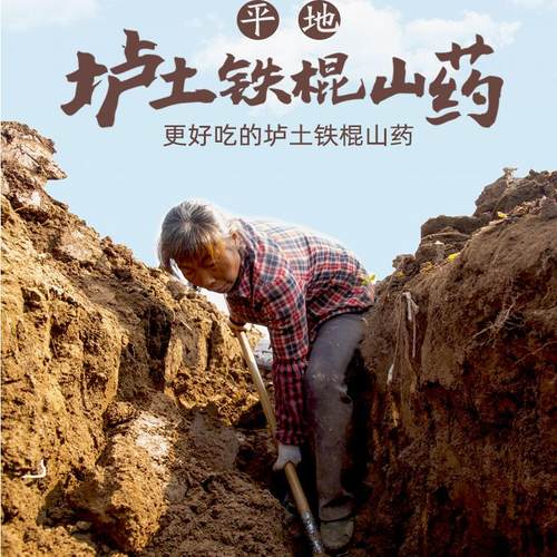 产地直发河南焦作温县垆土地铁棍山药特产新鲜正宗怀山药淮山5斤 - 图3