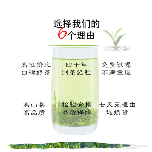 厂家直销正品2025新茶毛尖松针绿茶江西武功山茶武功玉叶口粮120g - 图1