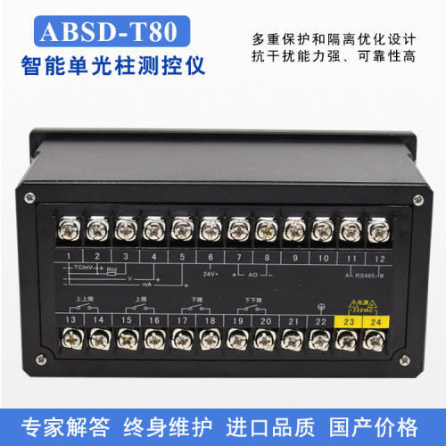 智能单光柱显示控制仪表 液位压力温度显示控制器 百分比显示仪表 - 图2