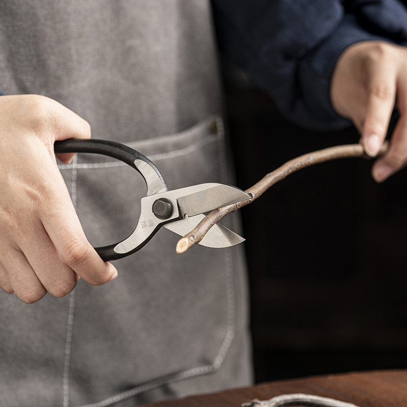 日本原装冈恒岡恒池坊小原流中式插花修枝铗池坊剪刀专业花艺花剪,淘宝优惠券,粉丝福利购,淘宝优惠卷