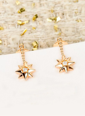 罗盘幸运徽章网红耳钉925银微镶手链玫瑰金色彗星星项链女