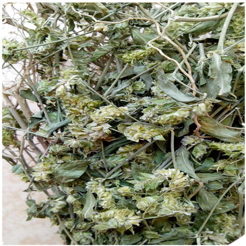 孩儿草曱甴草黄蜂草蟑螂草土夏枯草疳积草消积茶干货煲汤非独脚金 - 图2