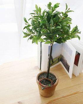 波西米亚风串珠花朵树叶多层手链