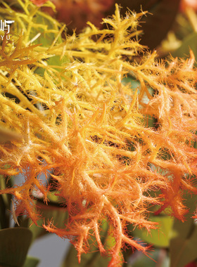 鲲屿 大堂新中式寂风秋色仿真花【秋韵凝翠】 酒店迎宾处大厅花艺