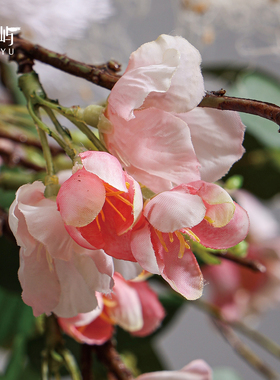 鲲屿酒店大堂桌面圆桌花艺