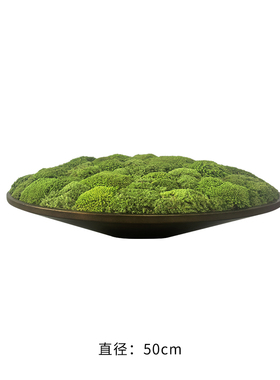 新中式现代永生苔藓盆景微景观酒店售楼处餐桌茶几摆件桌面家饰品