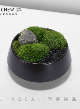 新中式永生苔藓绿植盆景微观小盆栽洽谈桌会议茶几博古架餐桌摆件