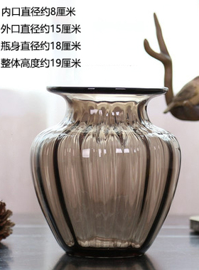 复古创意透明玻璃花瓶水培唯美