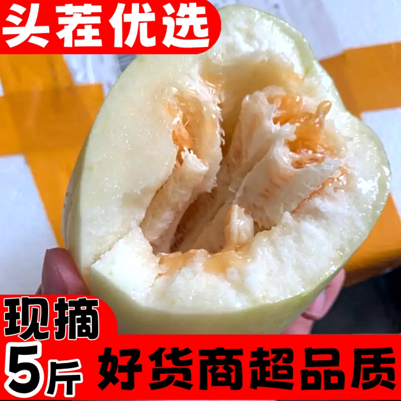 东北甜瓜京密新鲜现摘香瓜应季水果孕妇特产瓜果时令生鲜果包邮 - 图0