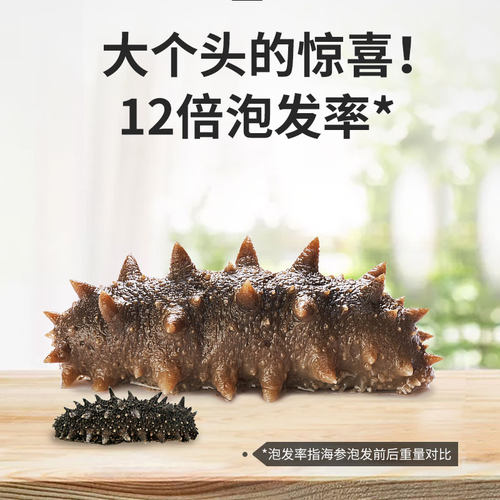 海晏堂淡干海参50g孕妇简装15-18只大连海参底播散养辽参端午干货 - 图3