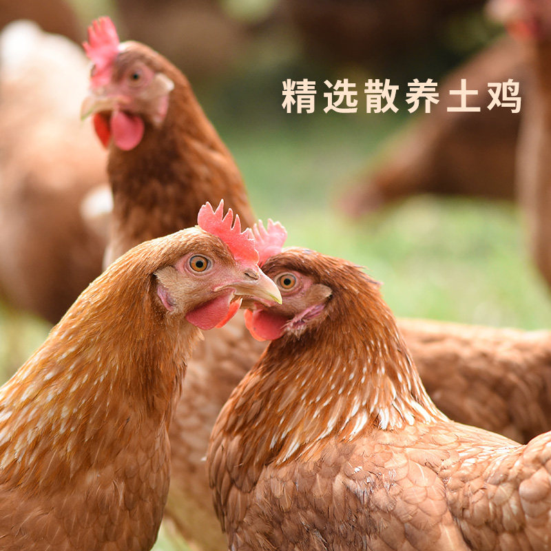 新疆特产椒口赞麻椒鸡美食卤味制品麻辣鸡肉零食熟食即食五香真空,淘宝优惠券,粉丝福利购,淘宝优惠卷