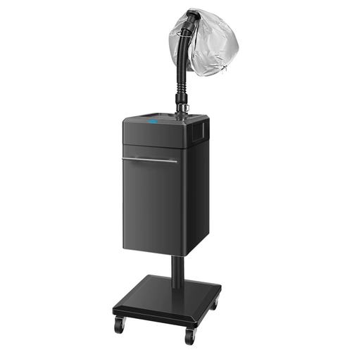 Спа -волосы карьера негативы Ион -нано -гидратированные волосы паровые машины для машины для волос уход за волосами. Музей ухода за волосами