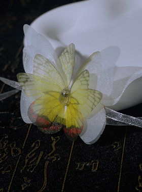 7厘米甜美黄色立体蝴蝶项链轻奢小众脖颈链高级设计感百搭锁骨链