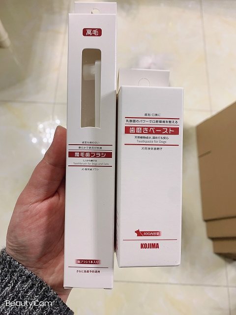 土豆麻麻 KOJIMA猫狗牙刷万毛刷 牙膏 套装 牙齿清洁除口臭去牙渍,淘宝优惠券,粉丝福利购,淘宝优惠卷