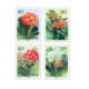 120-minute postage stamps Begonia flower stamps