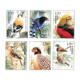 Animals, birds and fish stamps can be mailed at 80 minutes and 120 minutes