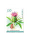 2023-20 Medicinal Plants (3) Special Stamps Complete Set of 5 Sets of 30 Discounted Letter Stamps