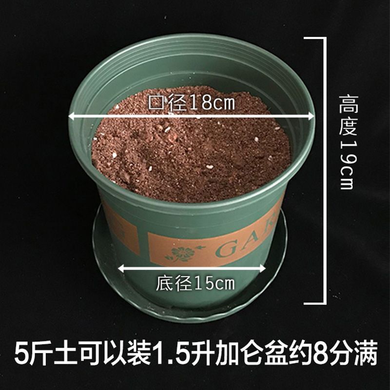 沙漠玫瑰配方土农户多年自用沙漠玫瑰专用土多肉植物有机质营养土 - 图1