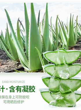 碧素堂芦荟胶淡化祛痘专用补水