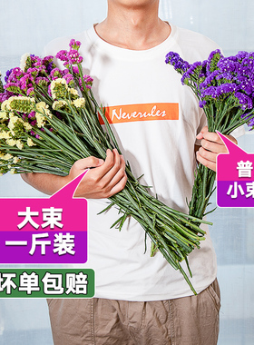 云南勿忘我摆设大束论斤卖干花