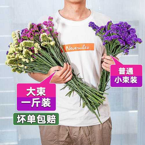 云南天然勿忘我干花花束客厅摆设满天星真花装饰摆件小大束论斤卖 - 图1