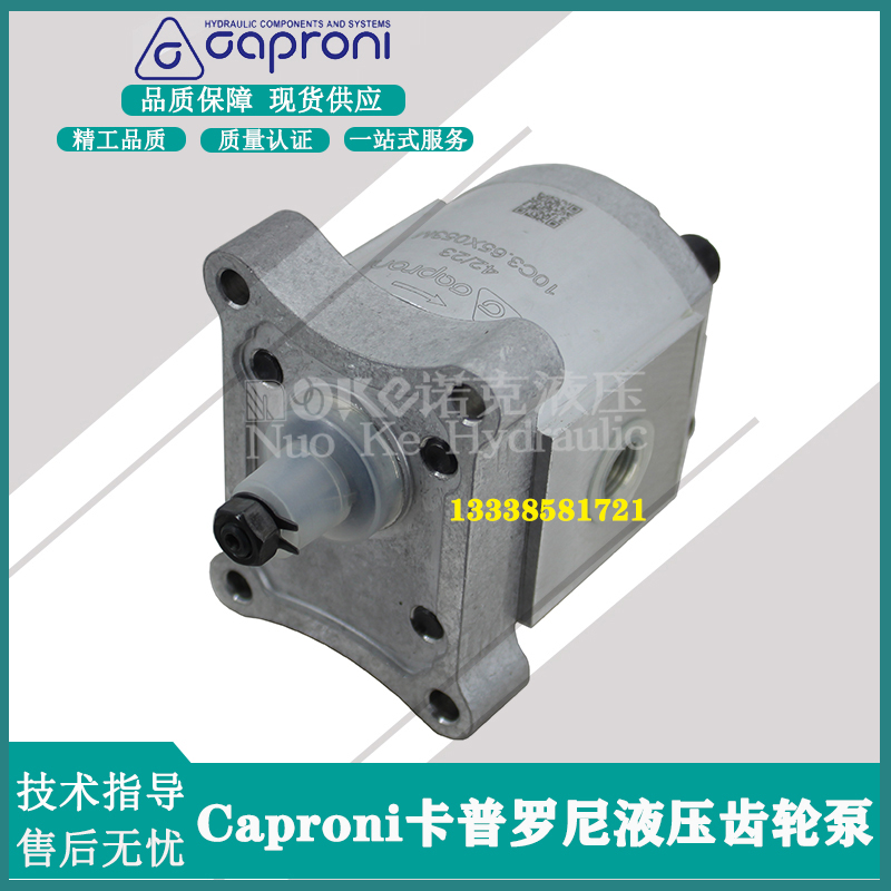 caproni卡普罗尼液压齿轮泵10C1.25/2/2.5/X053M/10A/00A/00C系列 - 图0