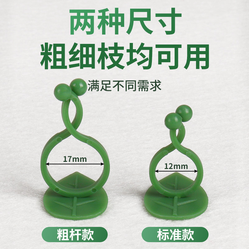 绿萝爬藤固定器绿植爬墙不伤墙支撑植物爬上神器爬墙花固定卡扣,淘宝优惠券,粉丝福利购,淘宝优惠卷