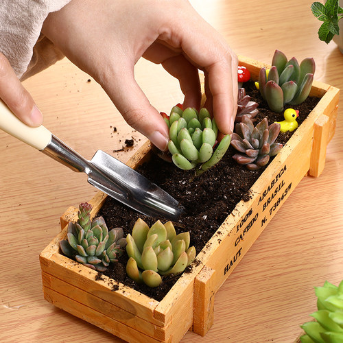 小花铲盆栽挖土铁铲栽花种花小铁锹多肉种植栽花种菜园艺工具家用 - 图1