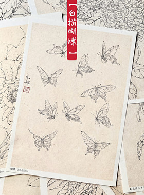 【花间雅集】精选24张国画白描写生花卉昆虫线稿