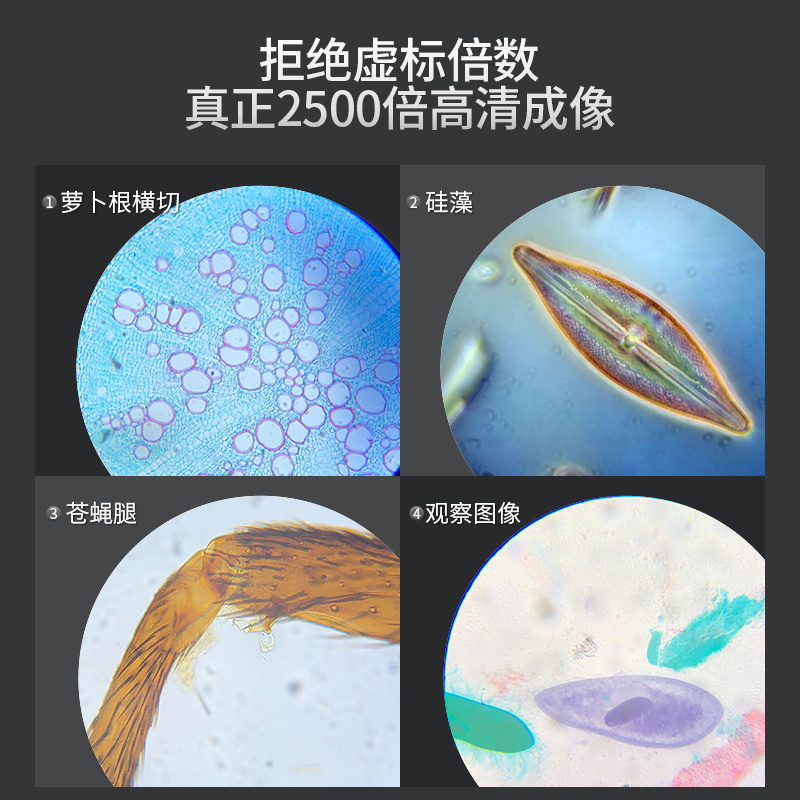 江南永新中学生专用专业级显微镜光学生物可看细菌小学生儿童科学 - 图1