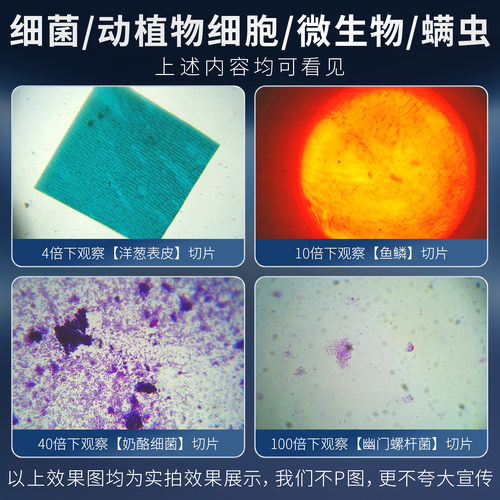 江南永新中学生小学生专用光学显微镜专业级初中生可看细菌儿童 - 图3