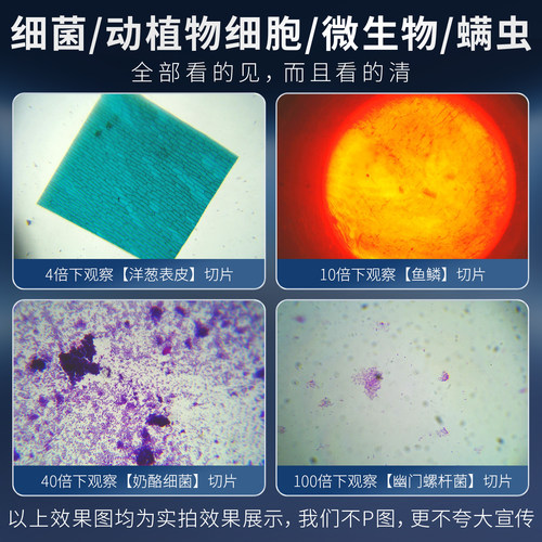 江南永新中学生小学生专用光学显微镜专业级初中生可看细菌儿童 - 图3