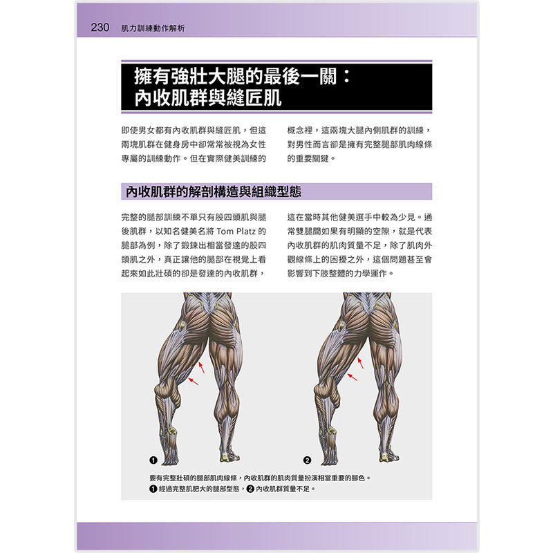 【现货】進階肌力訓練解剖*經2:高手只做不說的關鍵檔案 (附加大手繪肌肉解剖圖海報) 港台原版 健康运动 善本图书
