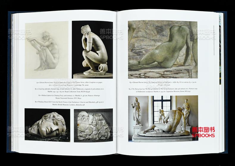 【现货】爱德华伯恩-琼斯的激进愿景 The Radical Vision of Edward Burne–Jones 英文原版进口艺术作品集画册画集 善本图书 - 图1