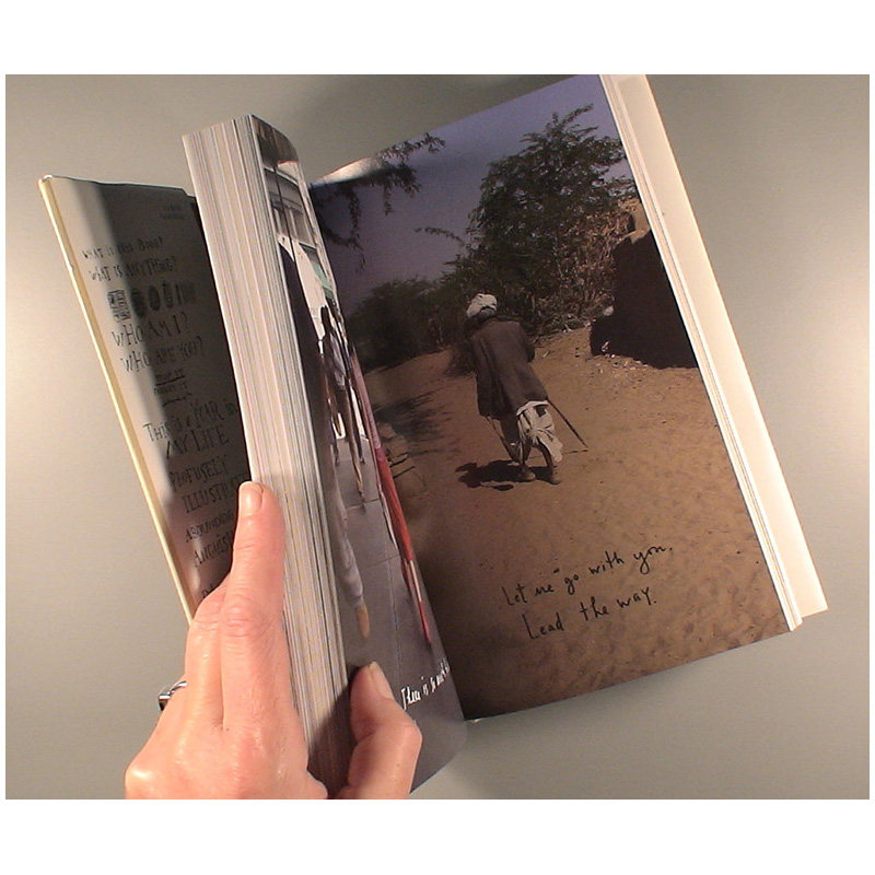 【预售】插画家Maira Kalman作品集 不确定性原理The Principles of Uncertainty  迈拉·卡尔曼 英文原版进口图书绘画画册善本