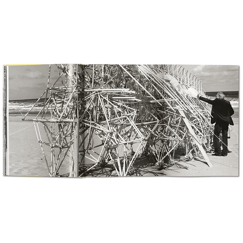 【现货】沙滩怪兽：泰奥.杨森的梦想机器  Strandbeest. The Dream Machines of Theo Jansen TASCHEN 英文原版进口摄影作品集 - 图3