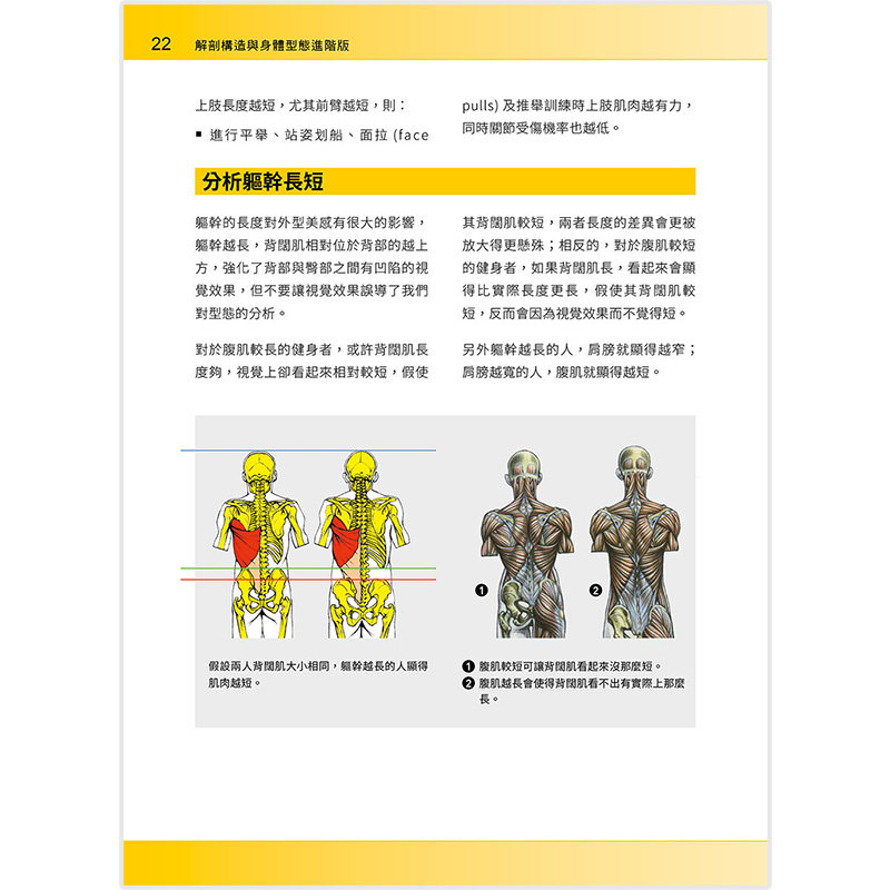 【现货】進階肌力訓練解剖*經2:高手只做不說的關鍵檔案 (附加大手繪肌肉解剖圖海報) 港台原版 健康运动 善本图书