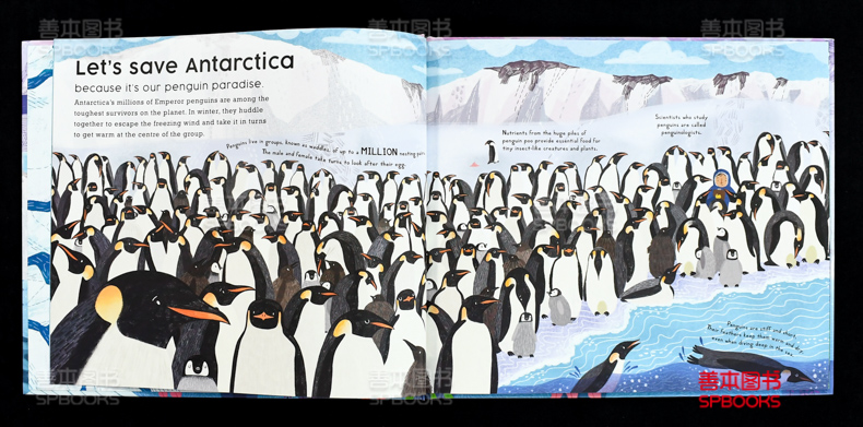 【现货】让我们一起拯救南极洲Let's Save Antarctica 绿色自然环保启蒙品格早教故事绘本 英文原版 Catherine Barr 善本图书 - 图2