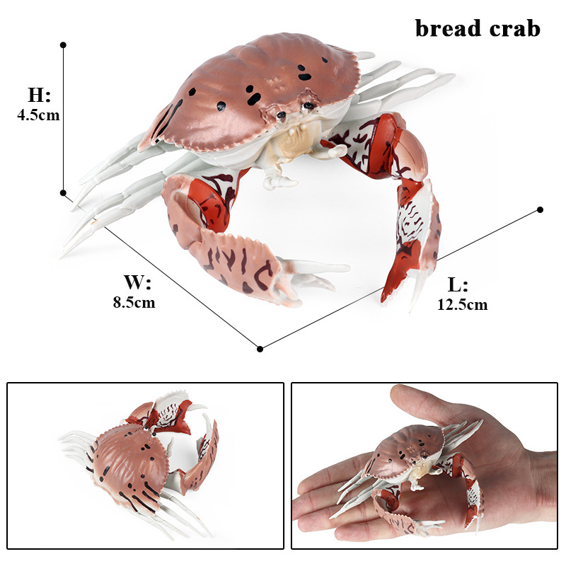 仿真螃蟹玩具大号莎莉蟹寄居蟹梭子蟹三点蟹帝王蟹实心模型摆件-图0