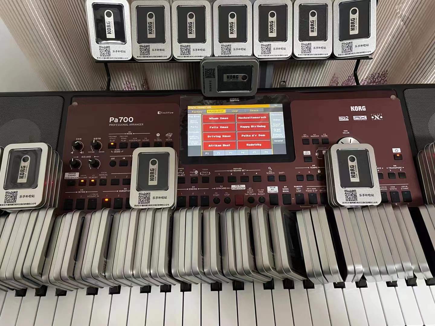 KORG pa300pa600pa900pa3xpa1000pa4xpa700音色节奏包电子琴用U盘-图0