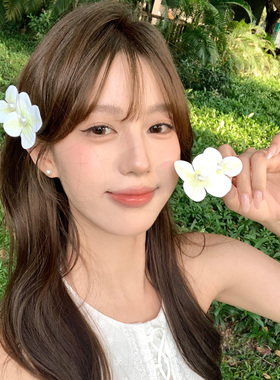 云雾花涧蓝色蝴蝶兰花朵发夹