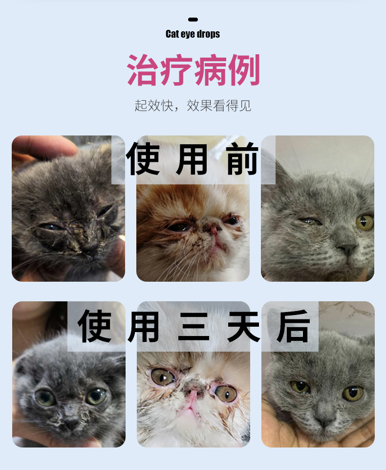 博莱得利猫鼻支滴眼液疱疹杯状病毒结膜炎博来得力宠物猫用眼药水 - 图0