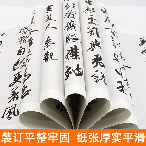 [Большой размер 2 тома] Mi Yan ji zi Tang Стихи+песня Ci китайская коллекция каллиграфии мастер -рабочие Mi Yan Xingzhu