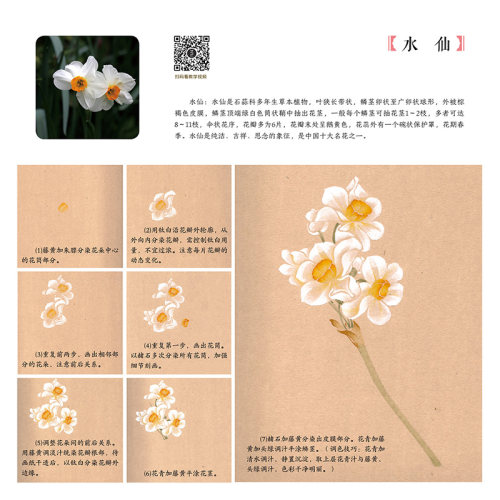 【附教学视频】没骨花卉日课 中国画传统技法教程  没骨花鸟画教程没骨画册白描底稿教学恽寿平没骨花鸟 画册美术自学国画临摹书籍 - 图3